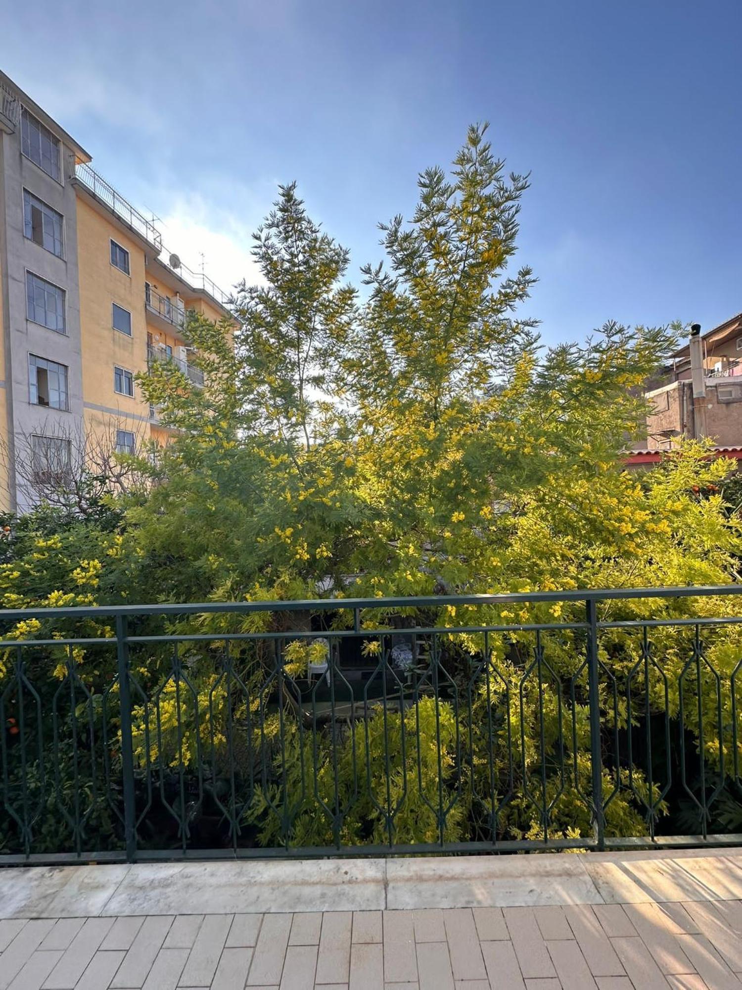 Il Campanile Hotel Scafati Eksteriør billede